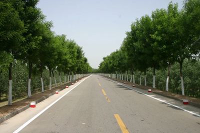 河南黄河网 树木种植经营的发展现状与前景