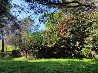 冬日梅子湖 绿意氤氲，清幽氧吧